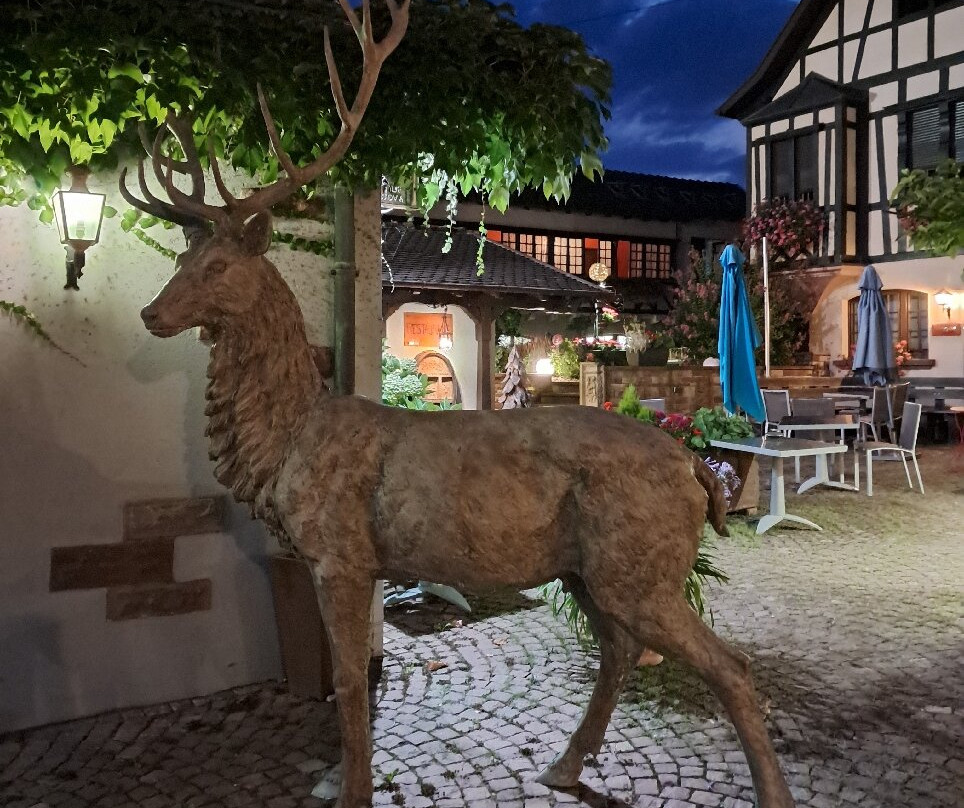 塞尔夫酒店主图