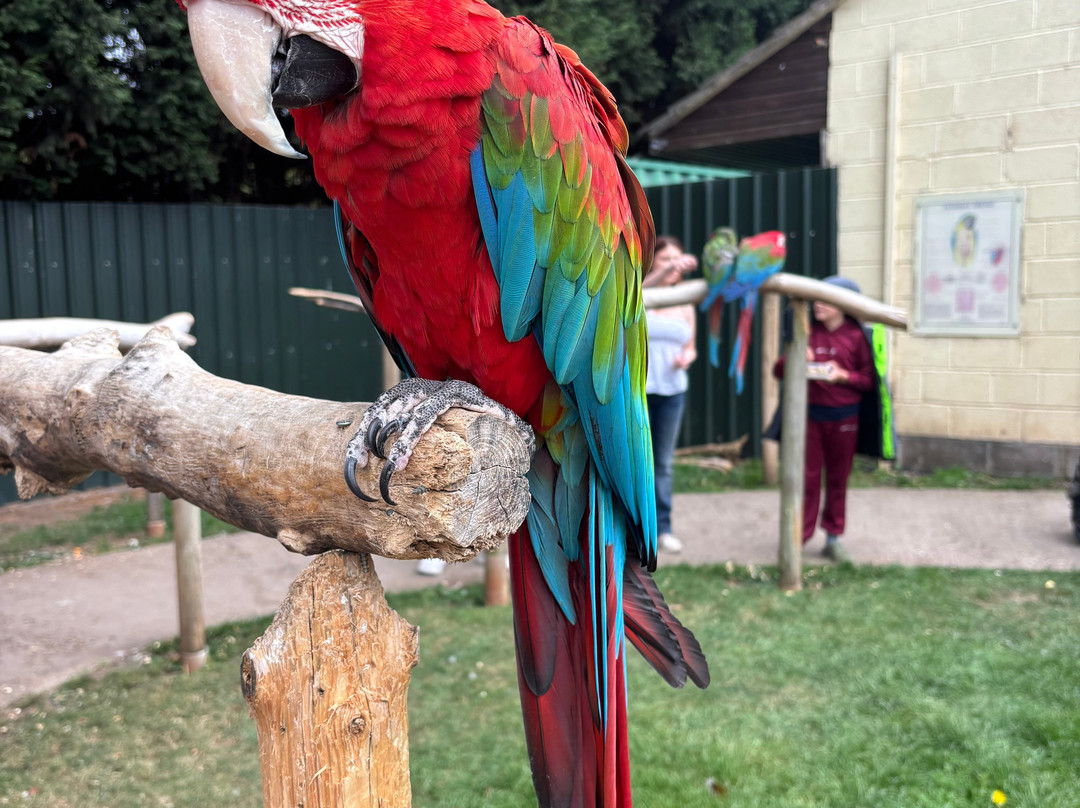 Tropical Birdland-Desford必去景点