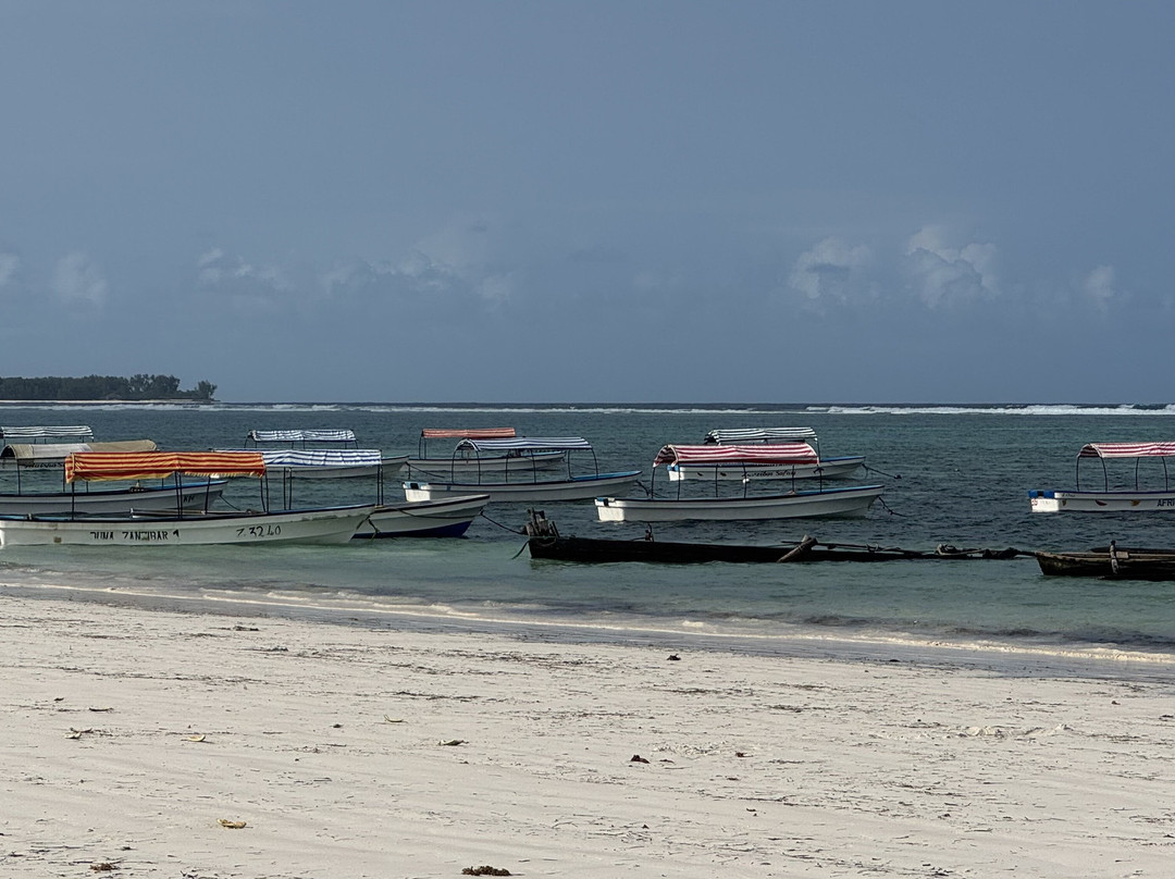 姆内巴酒店住宿-Matemwe Ocean View Villas