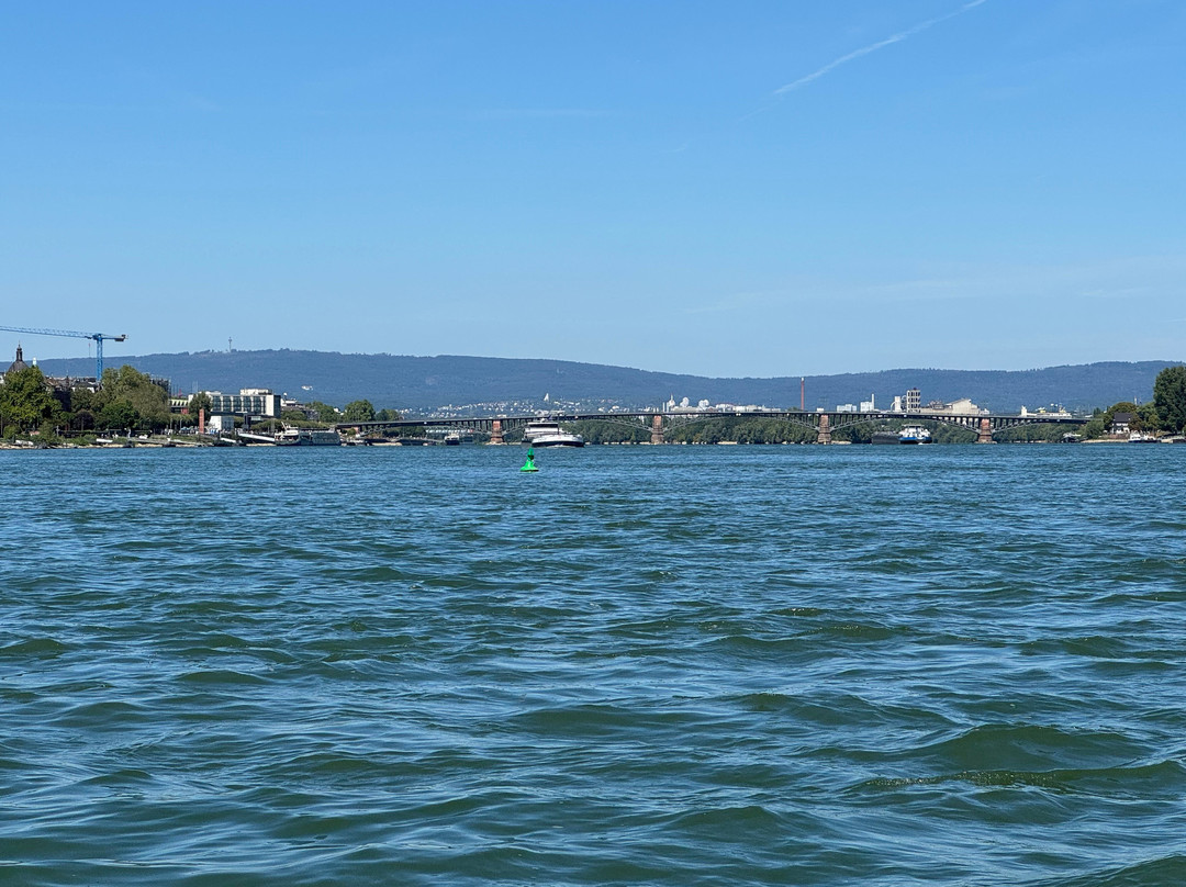 On Water-美因茨必去景点