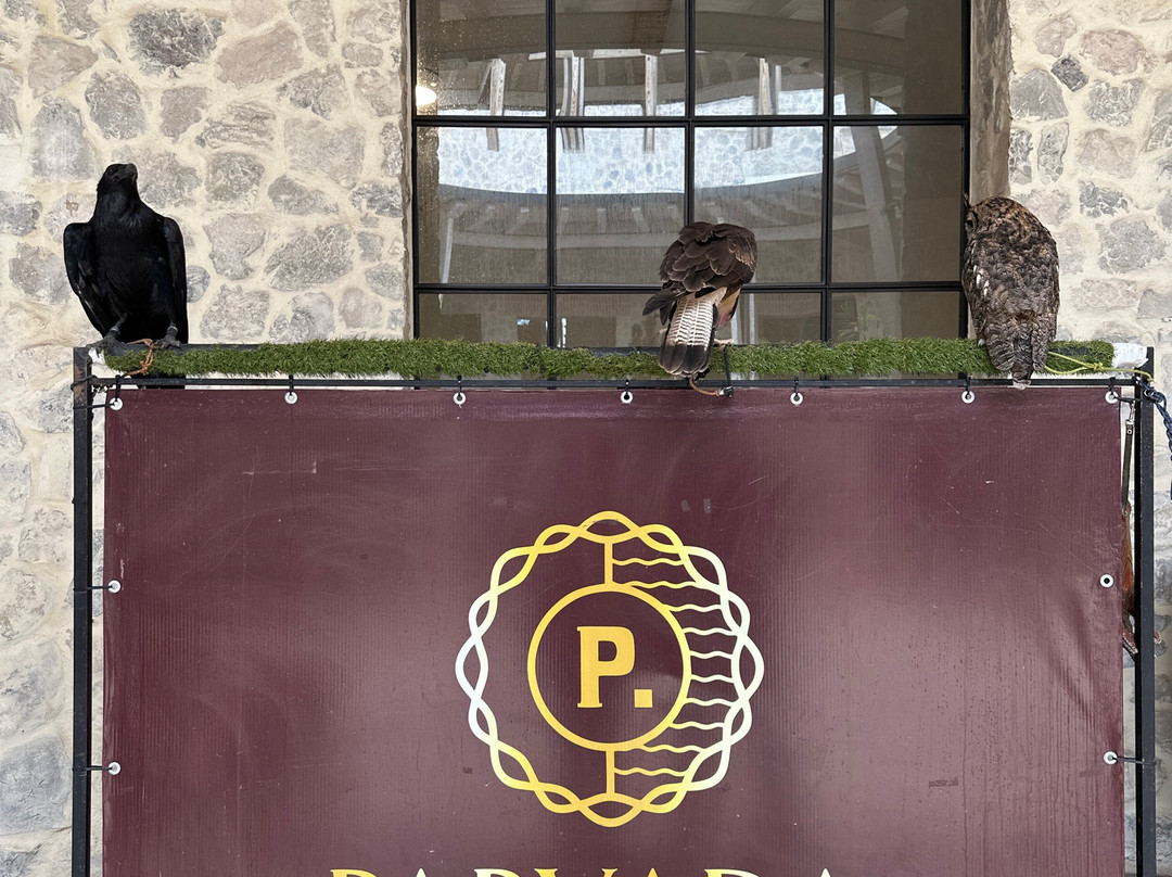 Vinicola Parvada-Parras de la Fuente必去景点