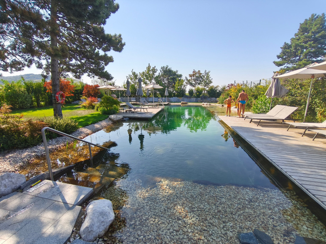 Hotel Spitzerberg主图