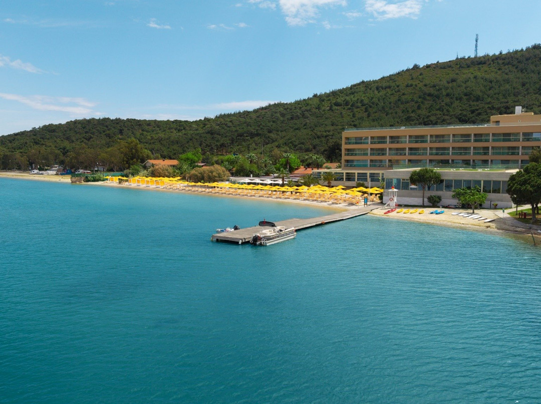 D Resort Ayvalik主图