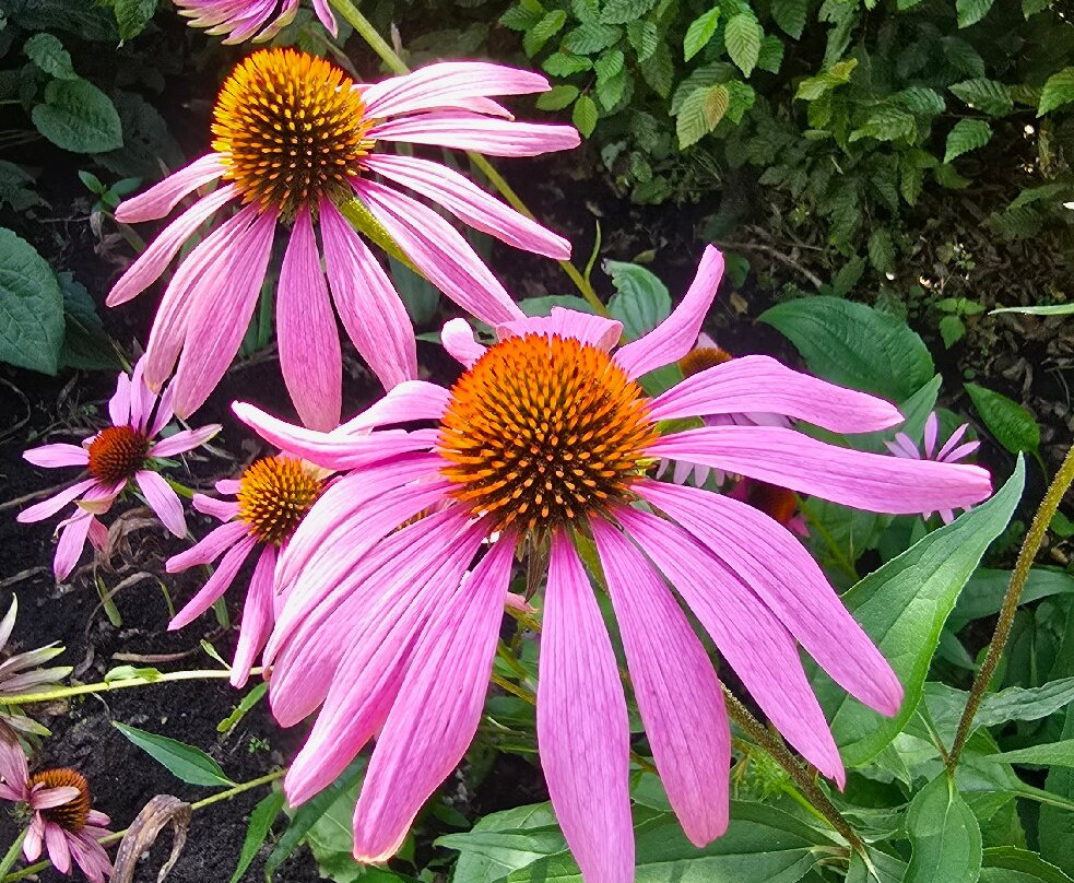 De Luie Tuinman-Ruinen必去景点