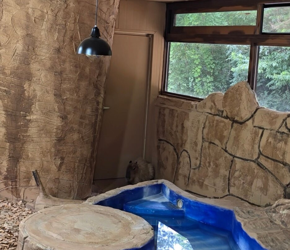 Alpaca World-洪川郡必去景点