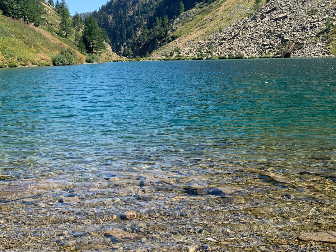 Hotel Regina delle Alpi主图