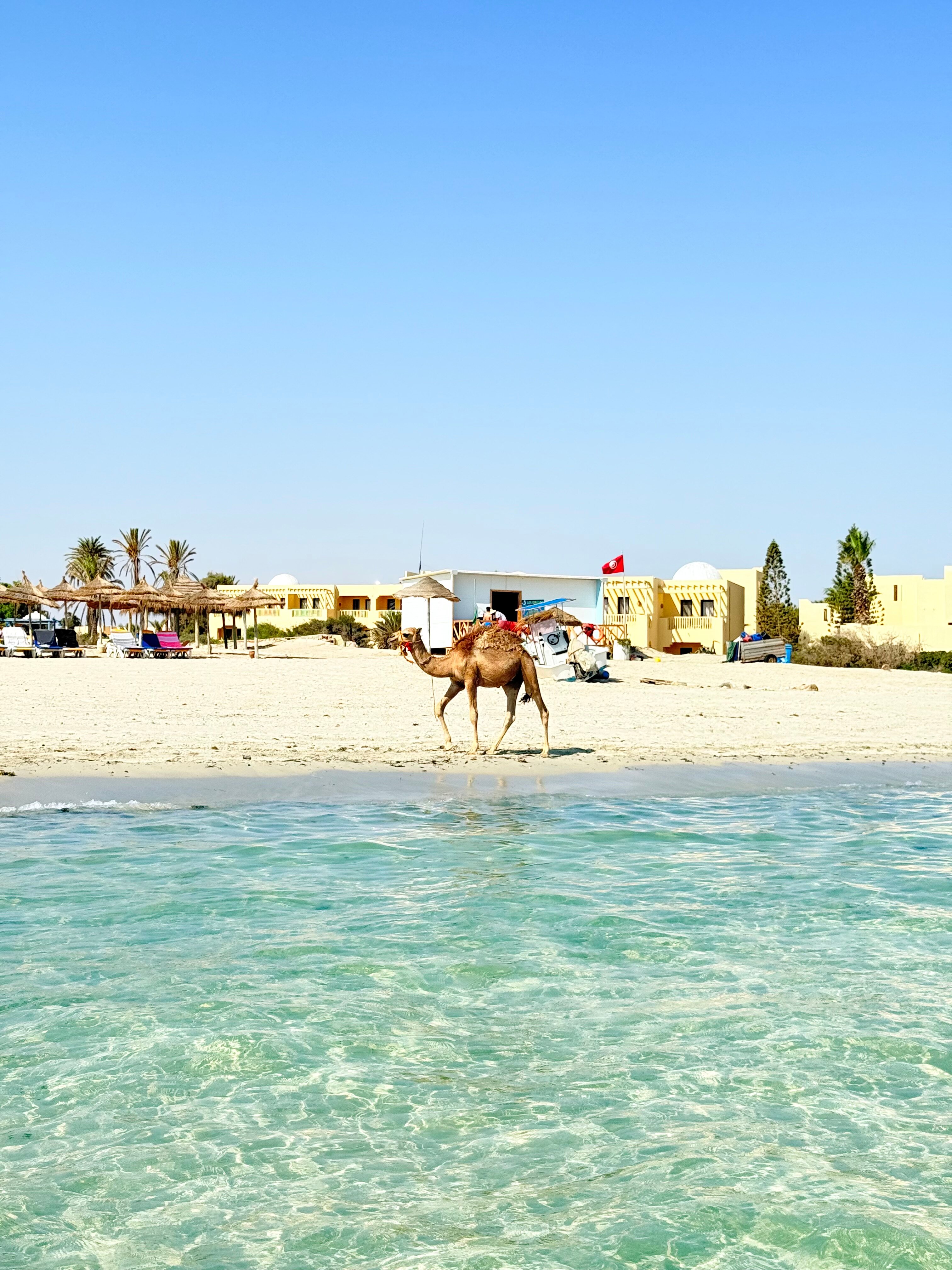 Hotel Meninx Djerba-官方