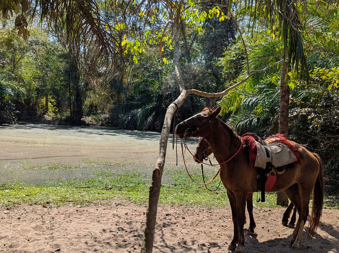 Buriti Viagens-Aquidauana必去景点