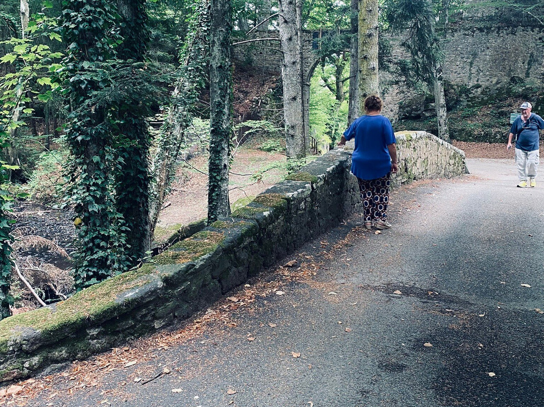 Contea Dell'eremo E Palazzo Cervini