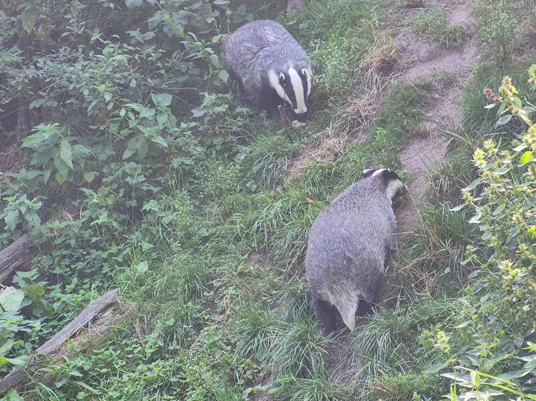 Otter-Zentrum Hankensbüttel-Hankensbuettel必去景点