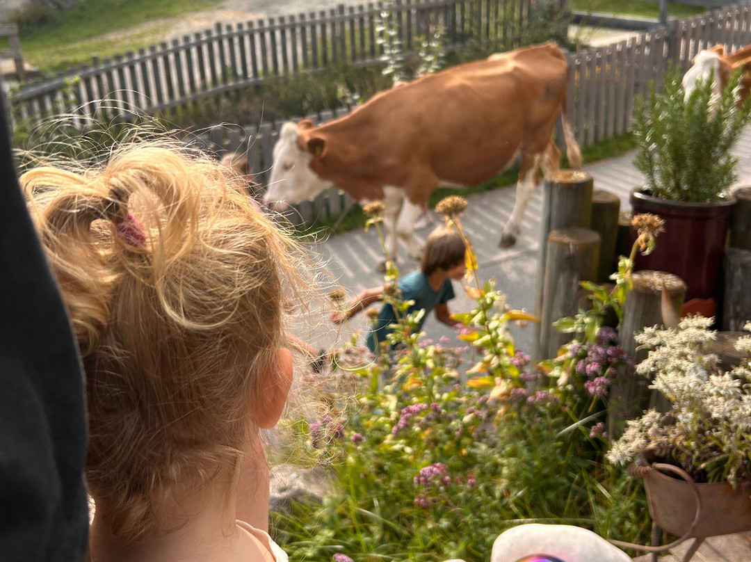 Familienhotel Gasthof Hinteregger主图