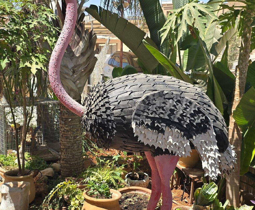 House of Art-Arad必去景点