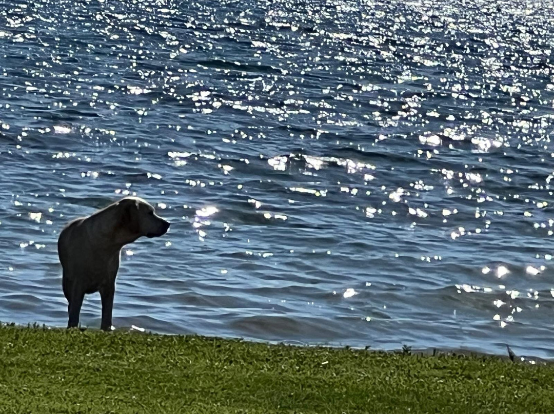 Riva Di Polline-Trevignano Romano必去景点