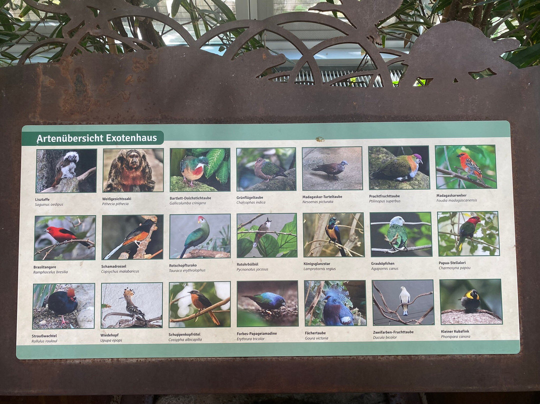 Zoo Karlsruhe-卡尔斯鲁厄必去景点