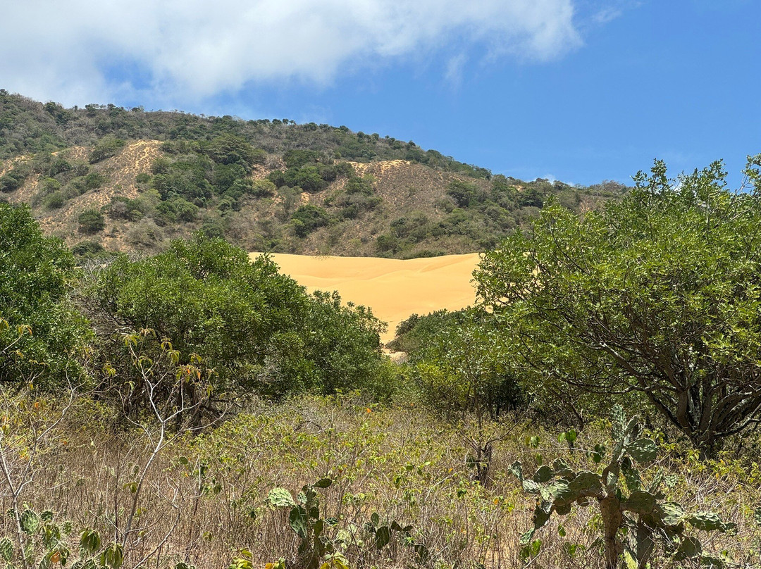 History Travelers-Riohacha必去景点