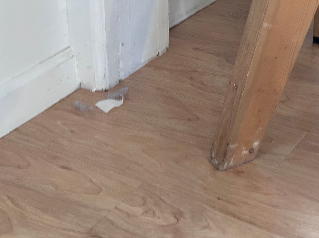 龙舌兰酒店主图