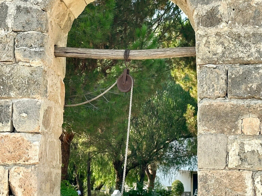 Tenuta Castelle - Relais di charme主图