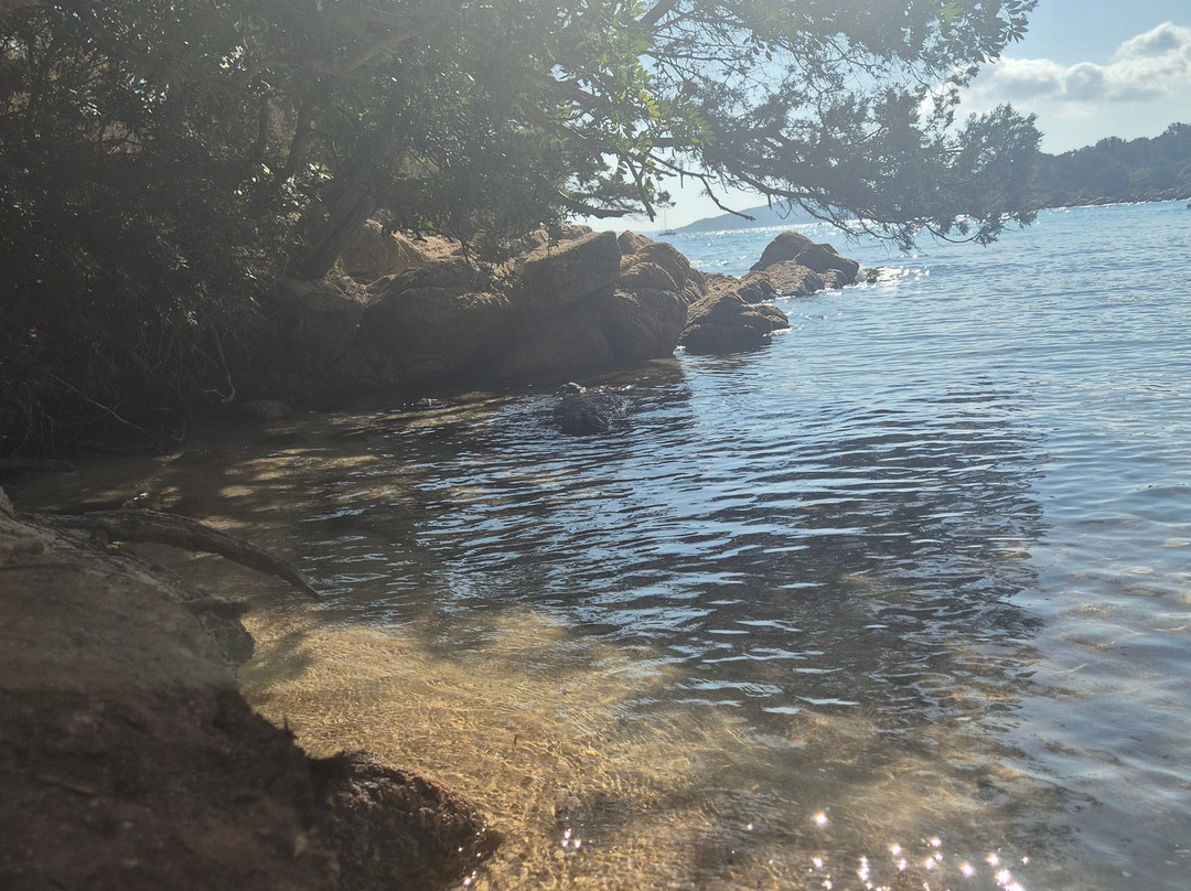 Spiaggia Le Piscine-Cannigione必去景点