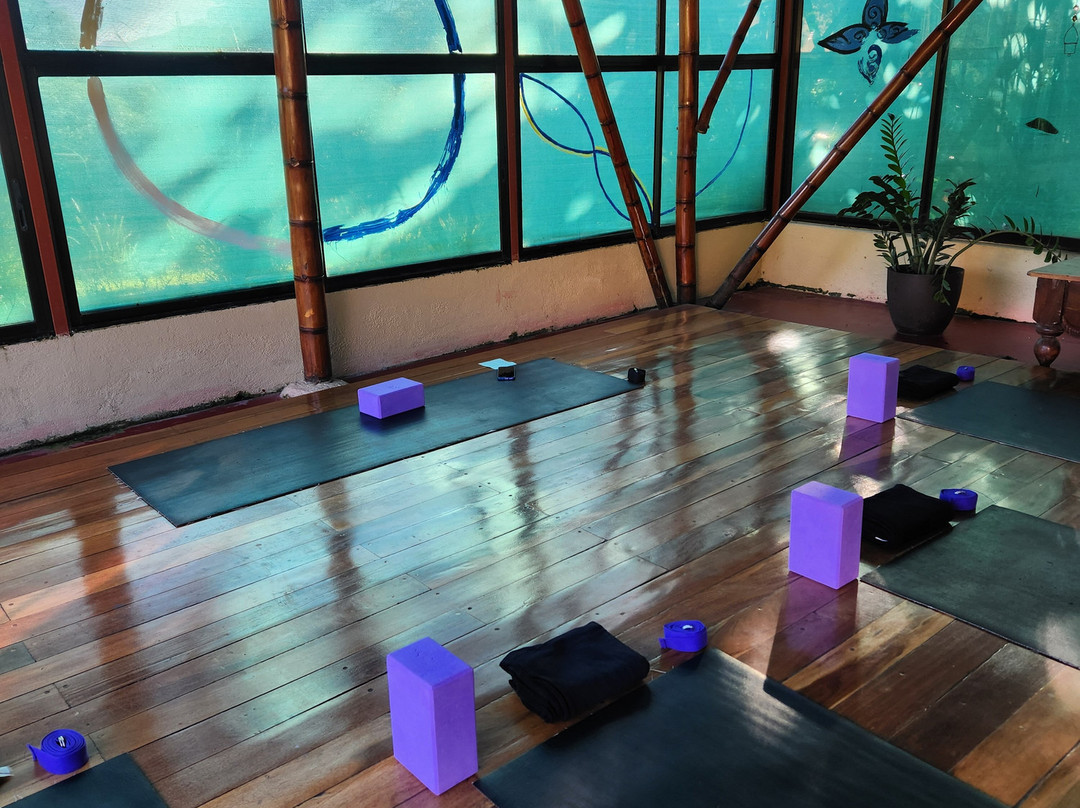 Essence Arenal Hotel, Biofarm & Spa主图