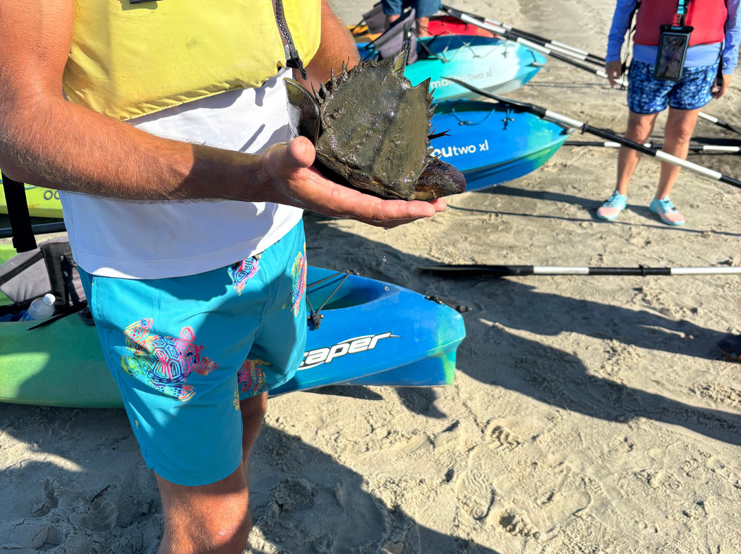 Coastal Kayak-Fenwick Island必去景点