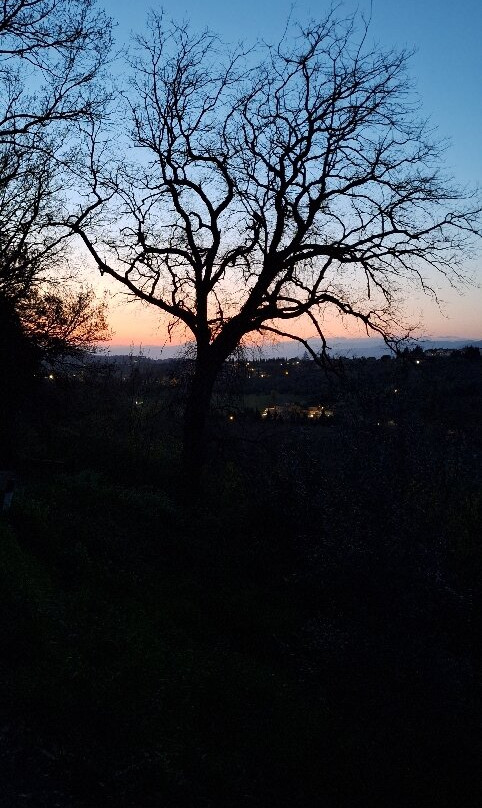 Villa Il Colle主图