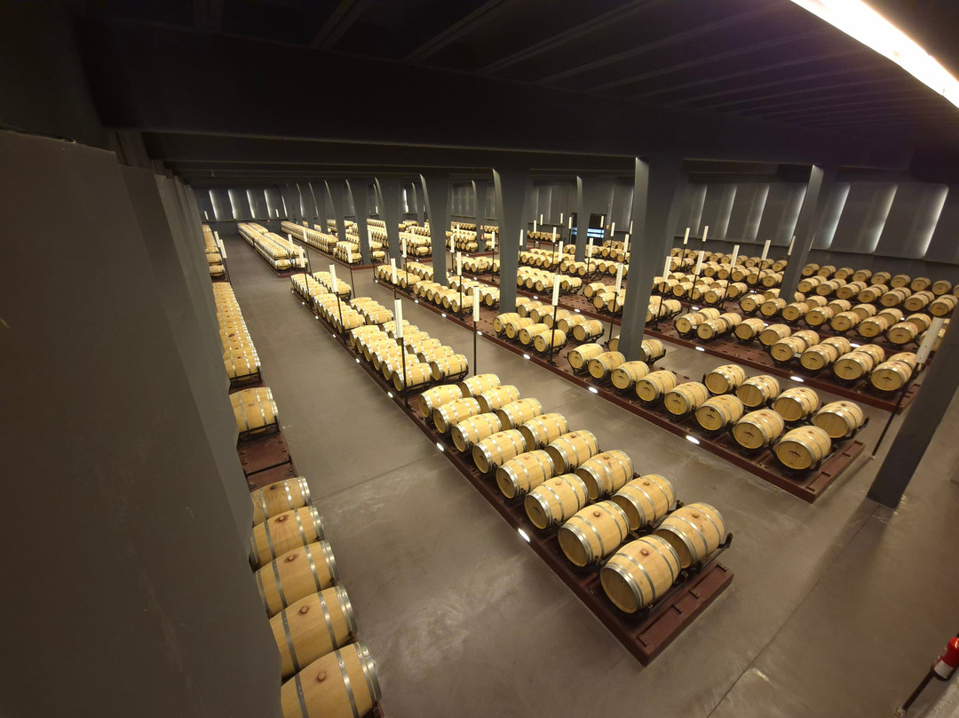 Bodega Sommos-Barbastro必去景点