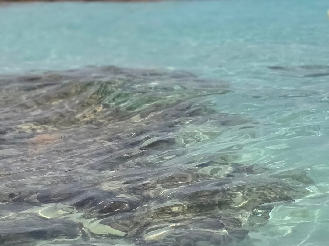 Veliero Dolce Vita-Maddalena Islands必去景点