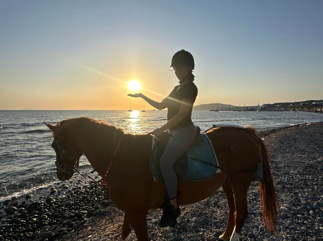 Efippos Horse Farm-维查德必去景点