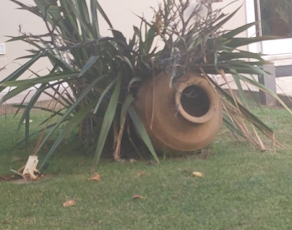 Hotel Intervallo主图