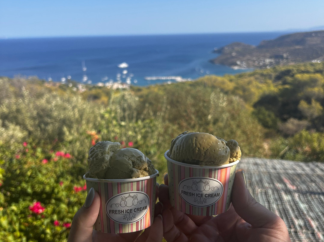 Hydra Sightseeing-雅典必去景点