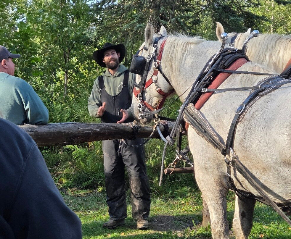 D & S Alaskan Trail Rides-塔尔基特纳必去景点