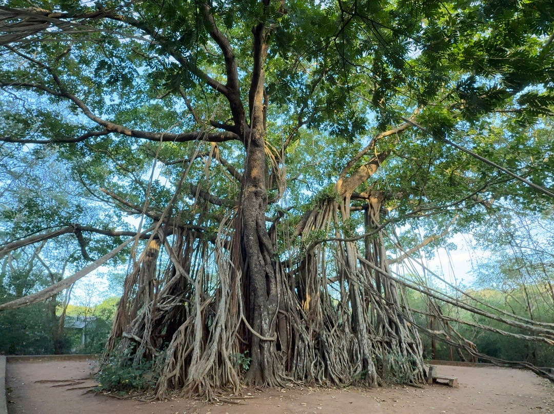 Yaluwa Tourist Rest And Cooking Class主图