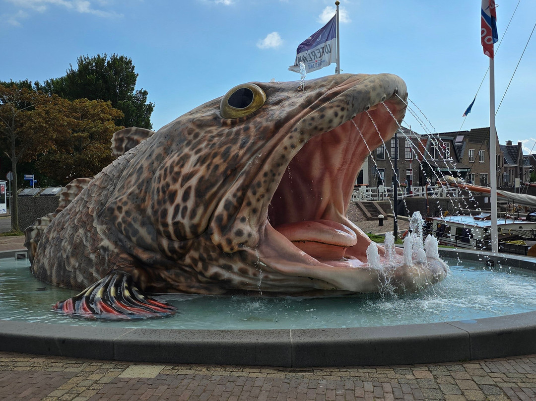 11fountains - De Vis Voor Stavoren-Stavoren必去景点