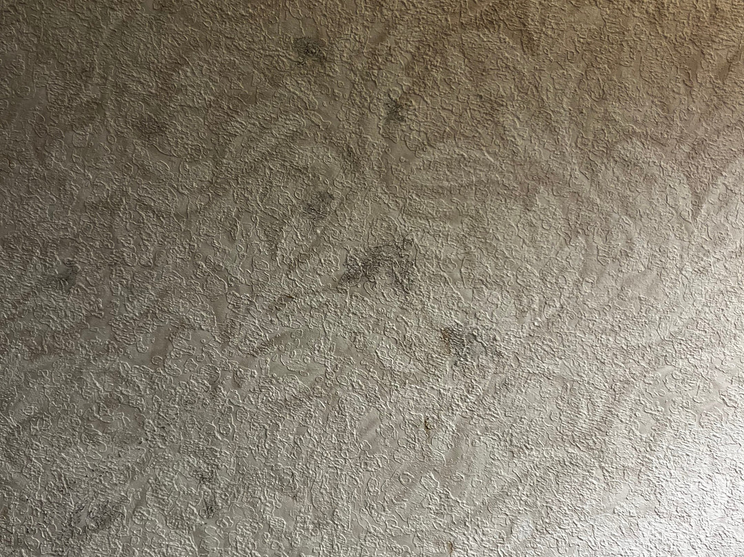 Comfort Inn & Suites主图