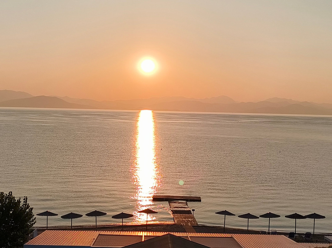 Delfinia Hotel主图