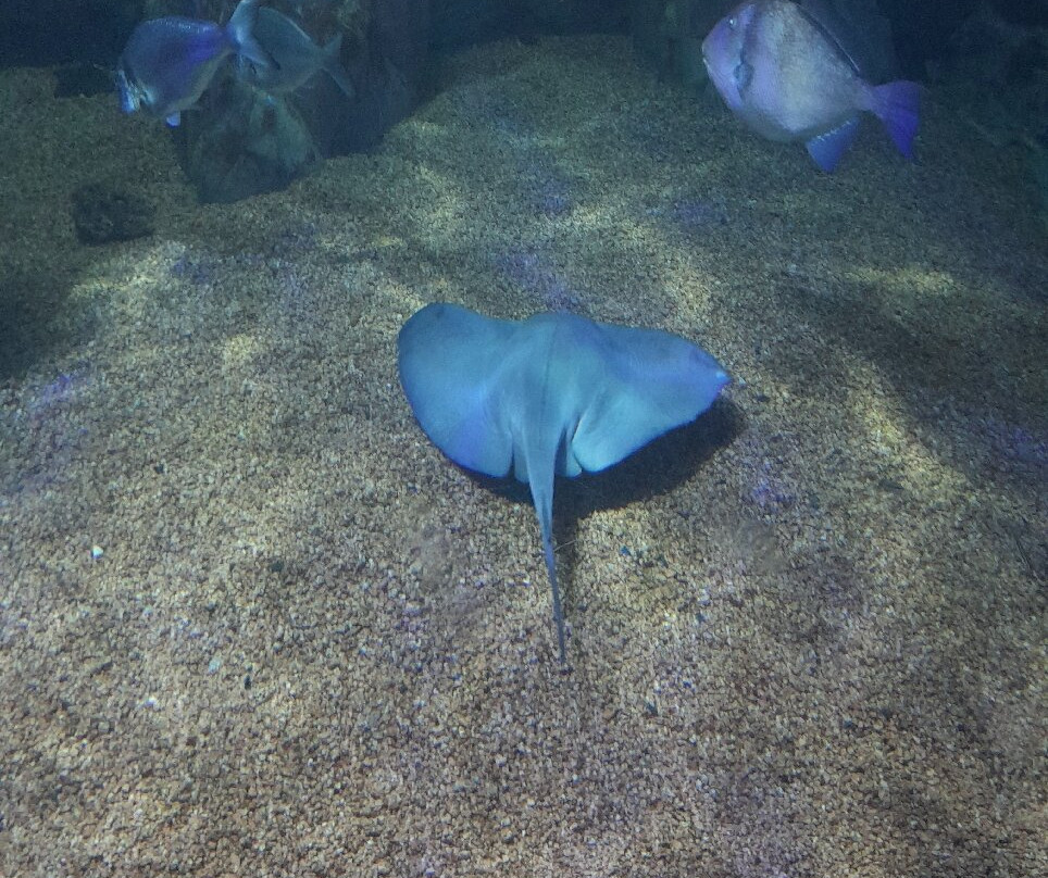 Acquario Cala Gonone-Dorgali必去景点