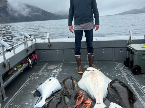 Russell Fishing Company-基奈必去景点