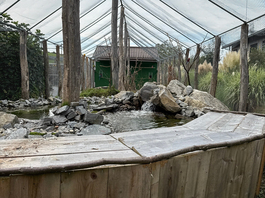 Vogelpark Ambigua-Zeihen必去景点