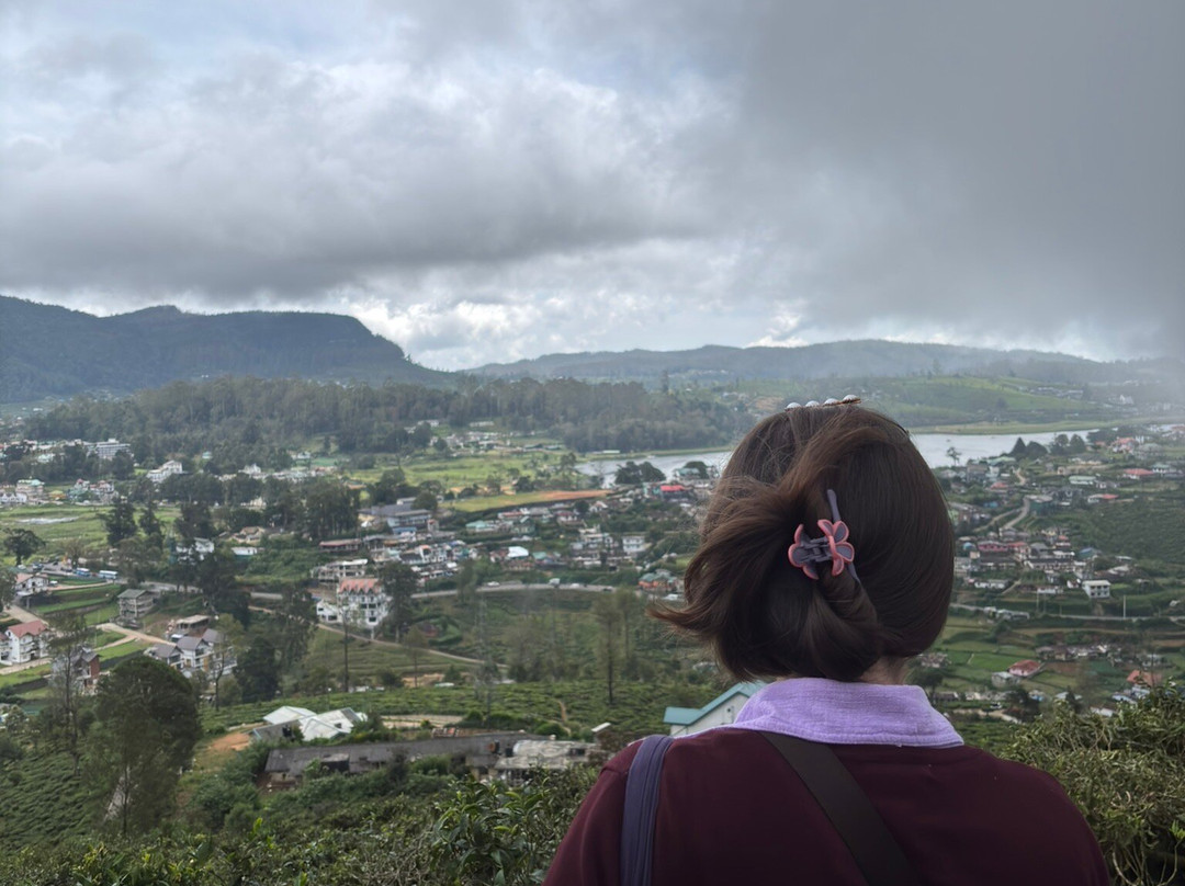 Andrews Eco Tours and Taxi-奴娃拉伊利雅必去景点