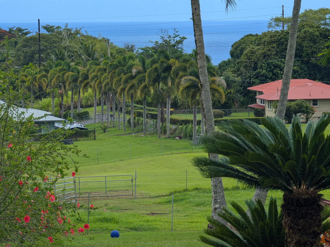 古德岛之家主图