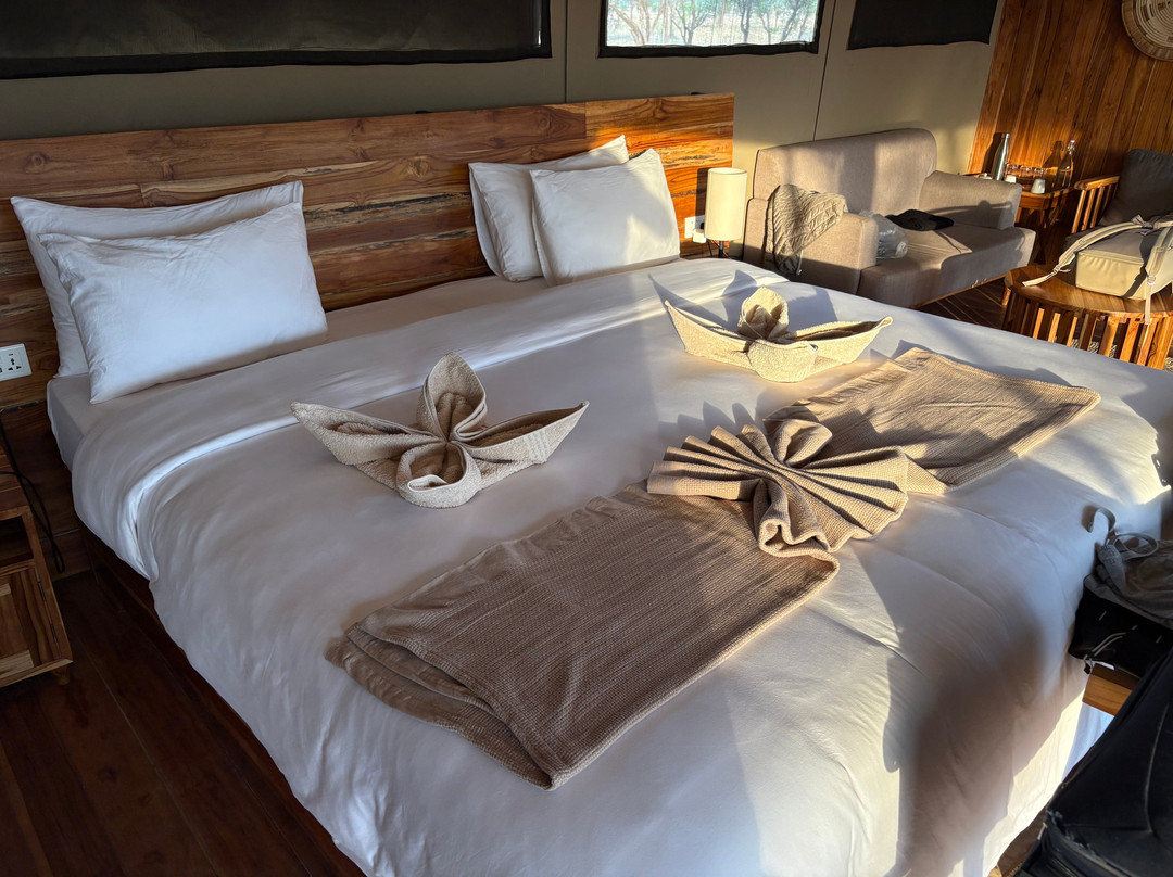 The African Kongoni Serengeti Safari Camp