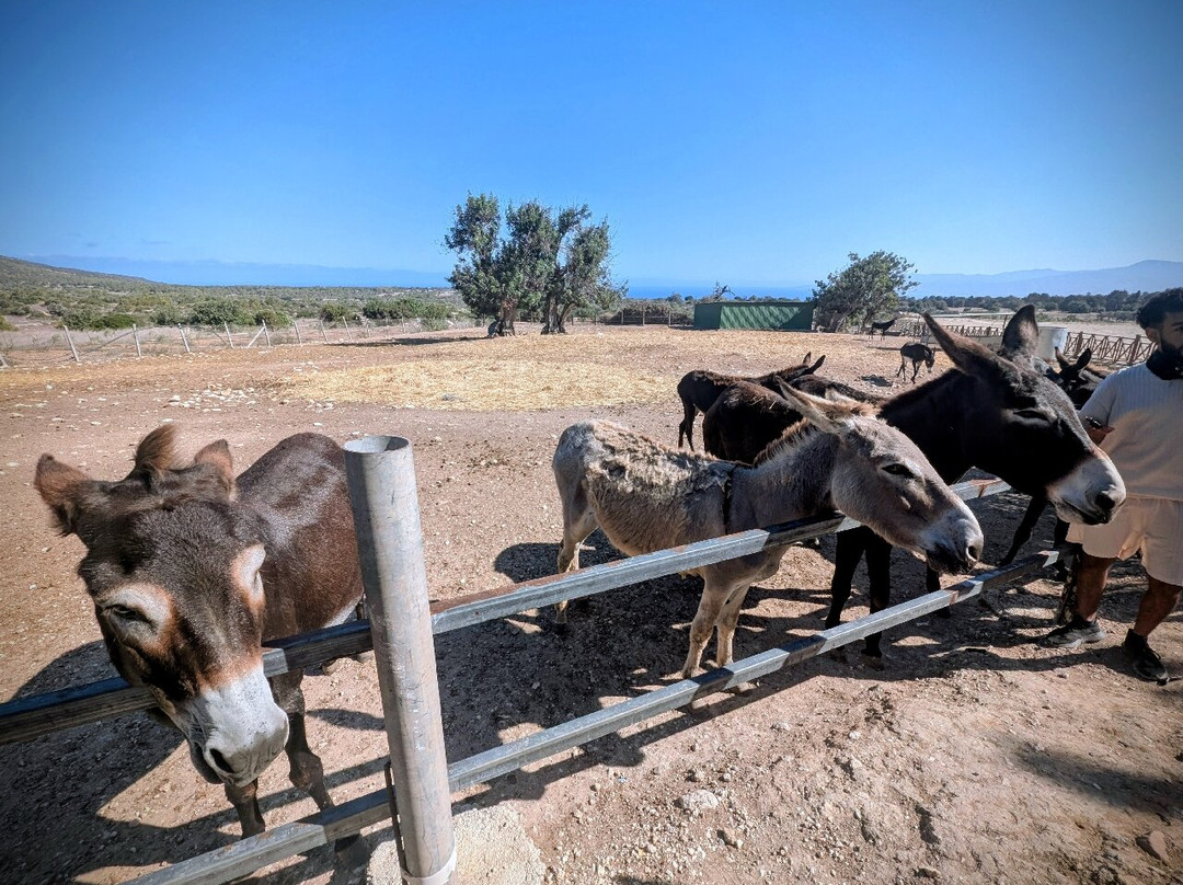 STS Motofun-Latchi必去景点