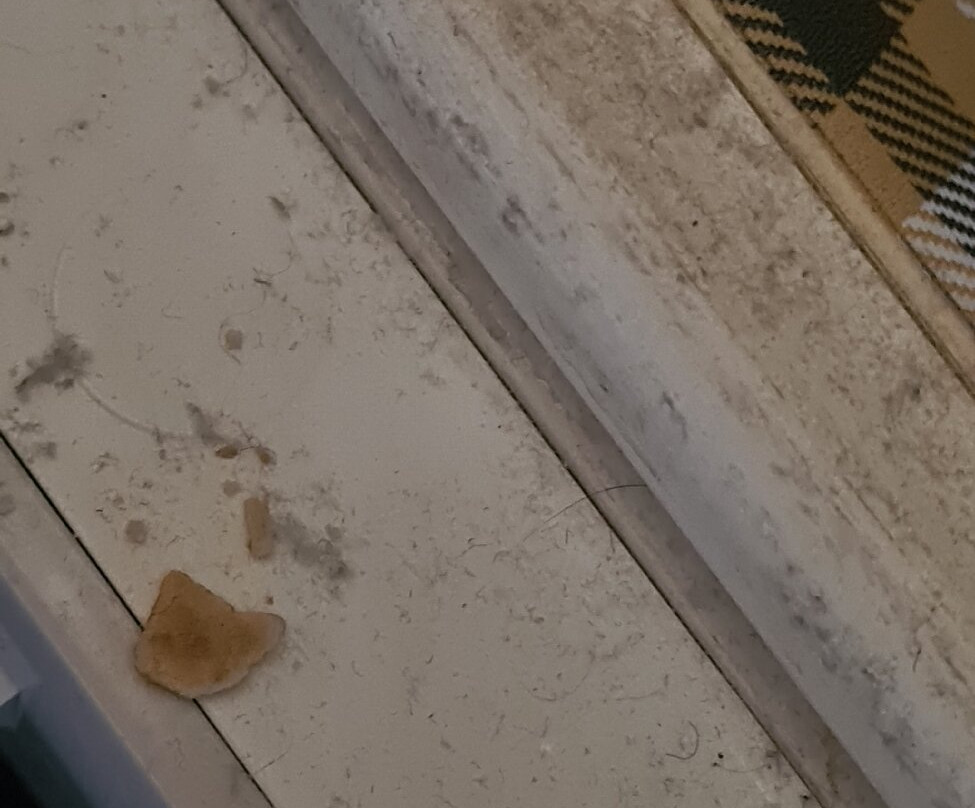 The Inn at Fossebridge主图