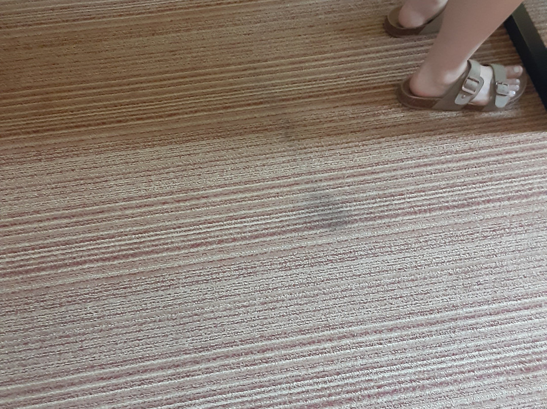 Courtyard by Marriott Philadelphia Coatesville Exton主图