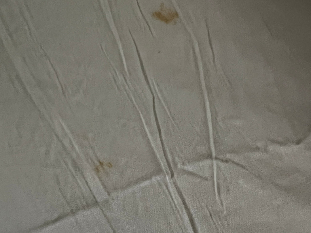 Dunes Village Resort主图