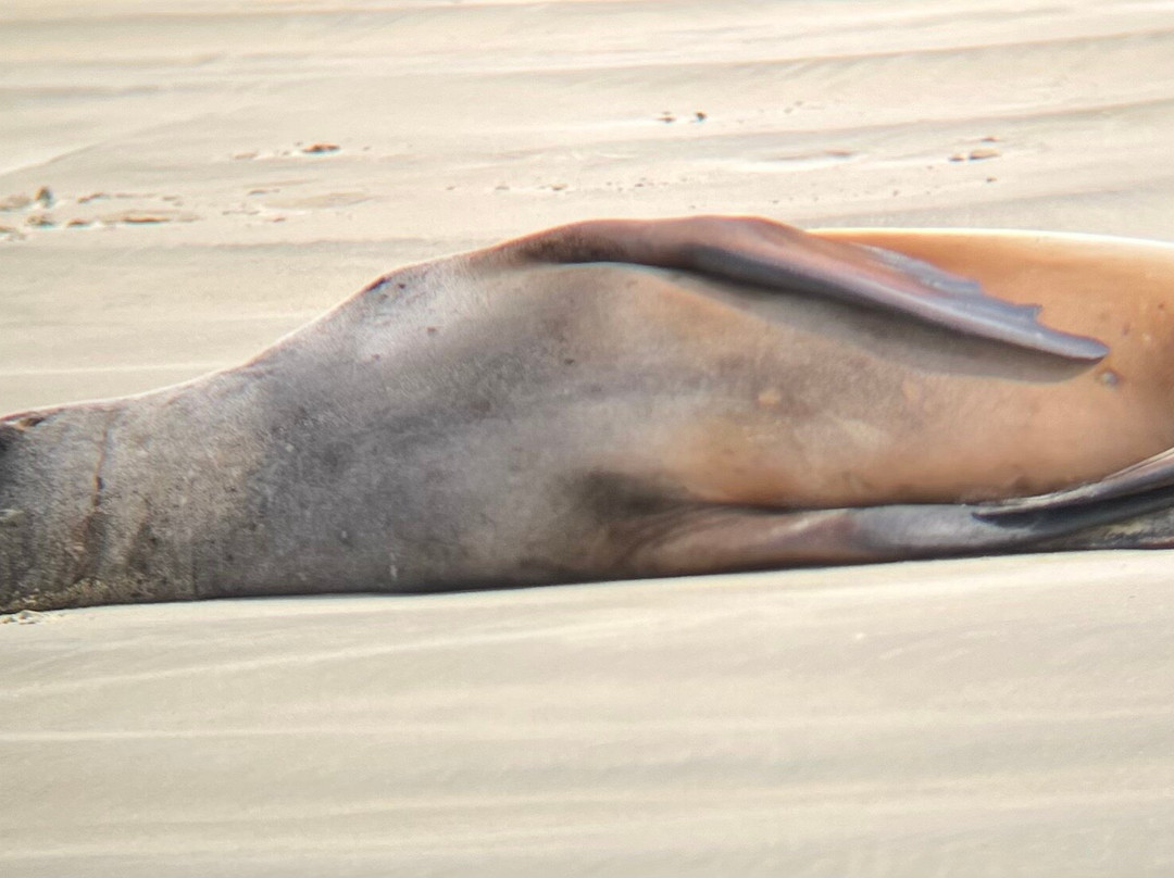 Catlins Tours-奥瓦卡必去景点