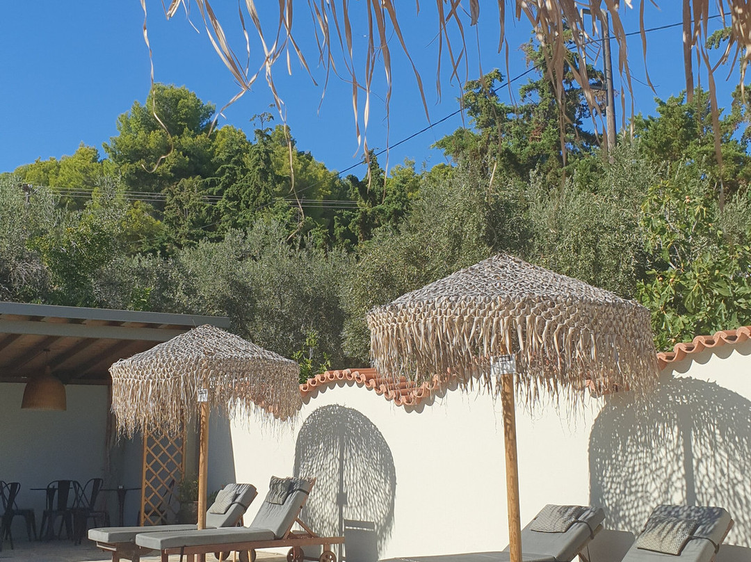 Aggelos Studio主图