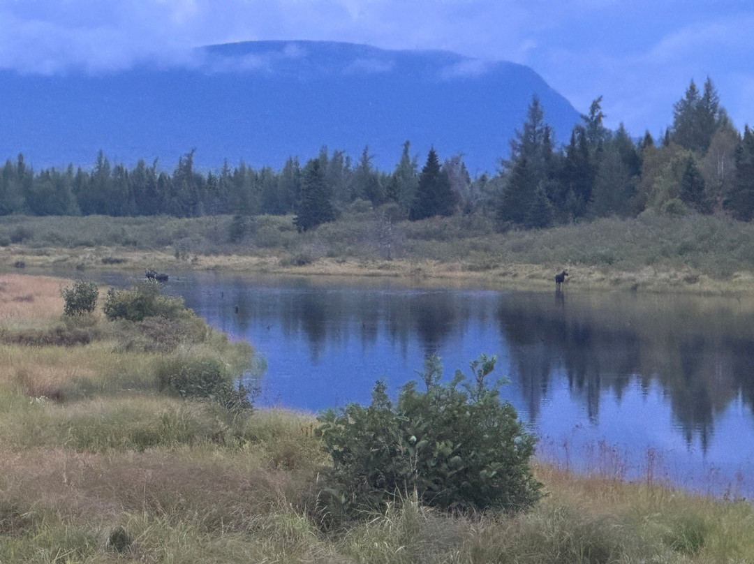 Northwoods Outfitters-Greenville必去景点