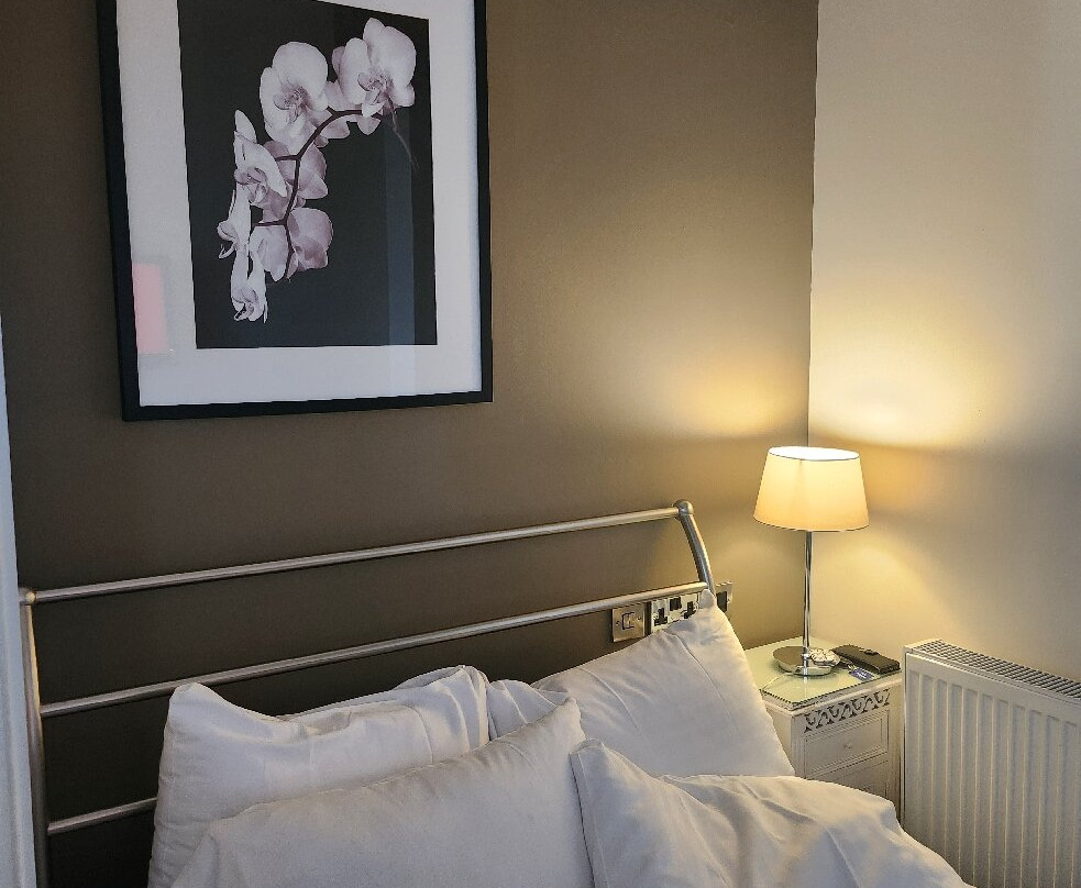 The Lion Hotel主图