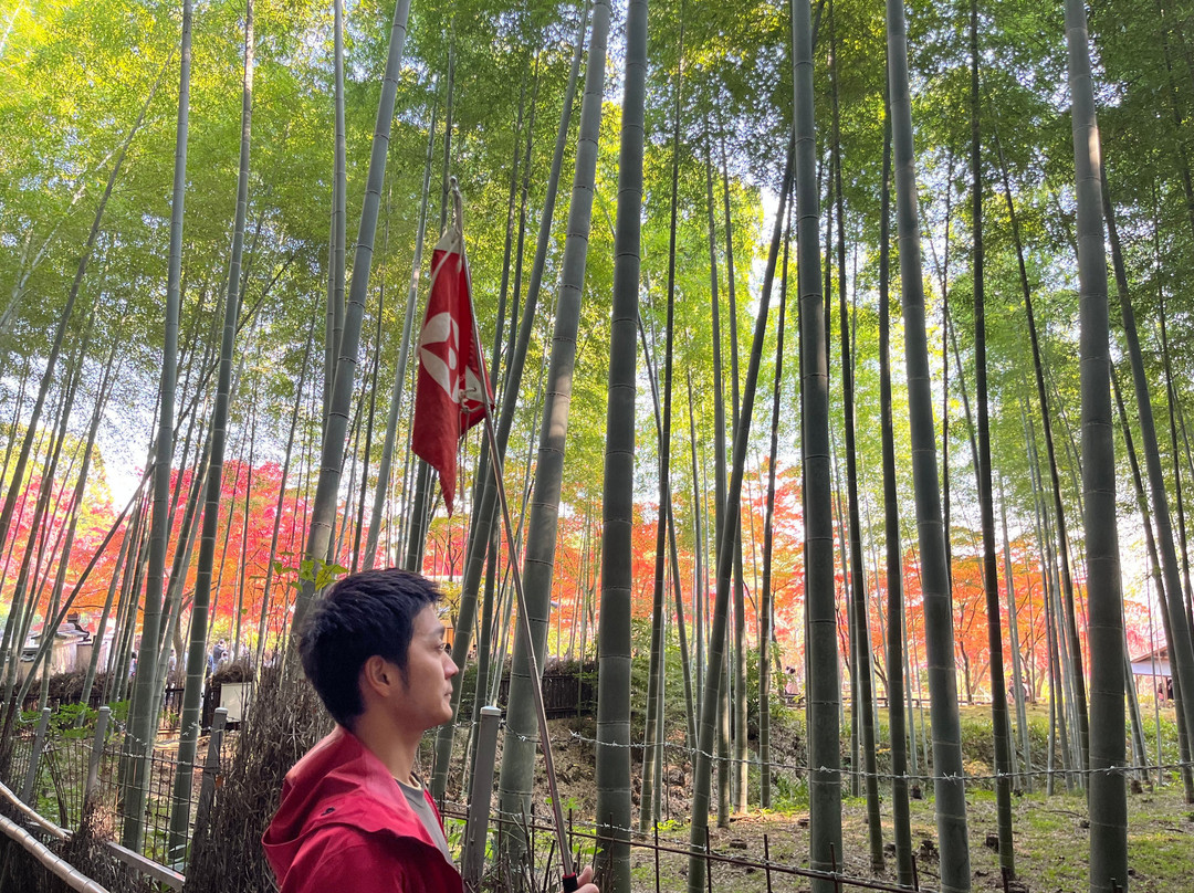 Explorer Tours Osaka-大阪市必去景点